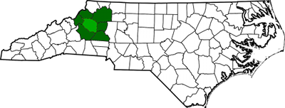 Map of our coverage area: Alexander, Avery, Burke, Caldwell, Catawba, Watauga, and Wilkes counties